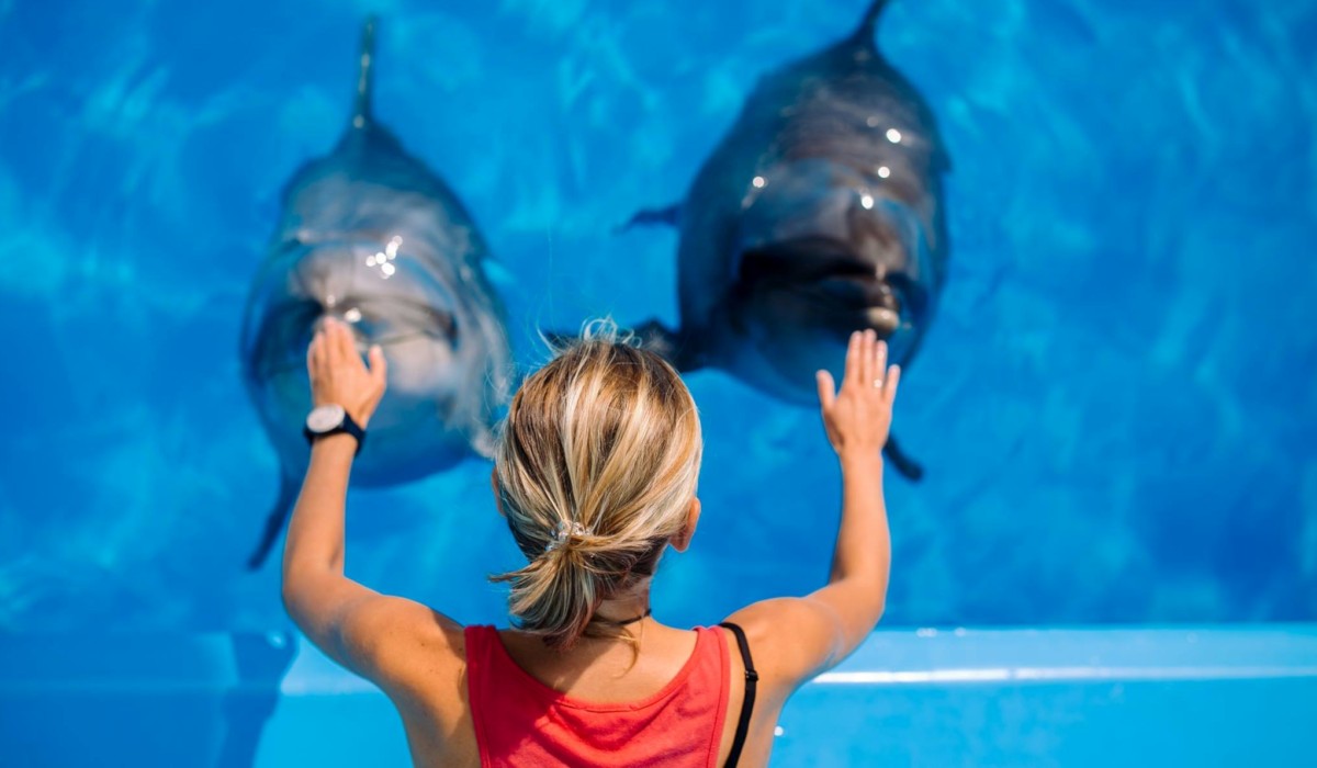 Antalya Sea Lions and Dolphin Show - 4